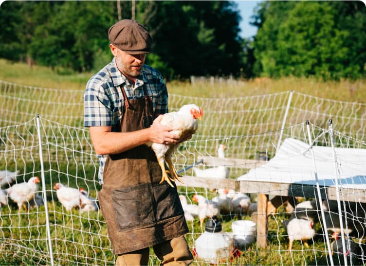 Raising Pastured Meat Chickens with Justin Rhodes 
