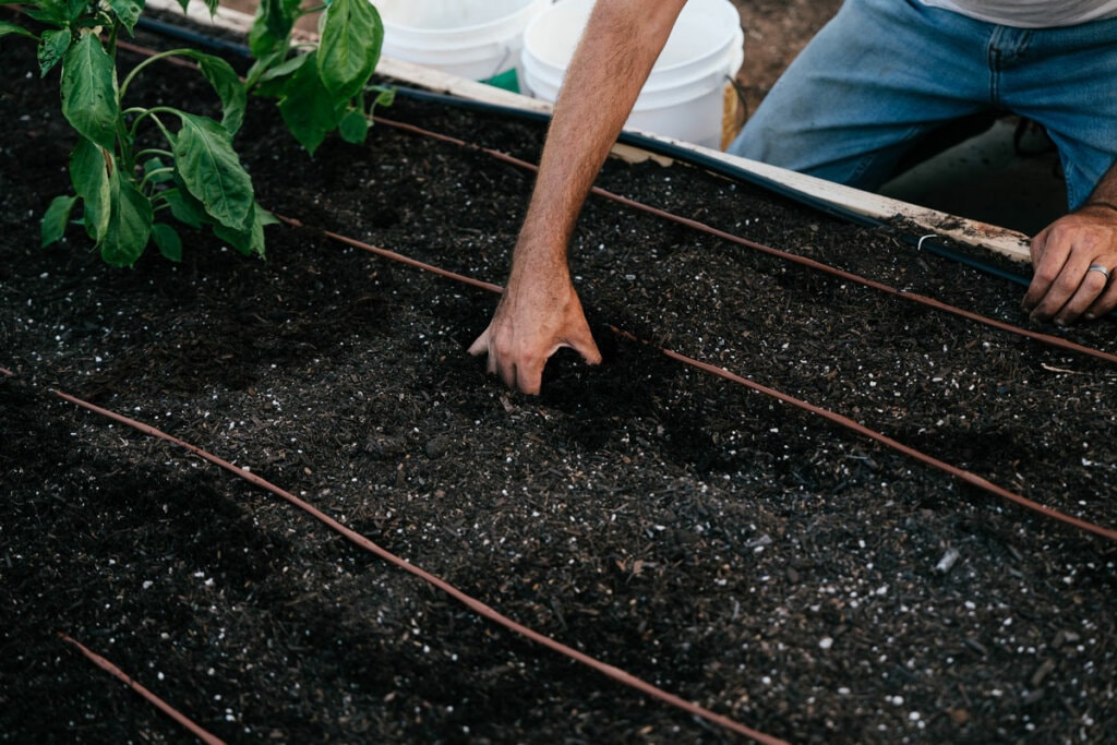 Hands planting seeds in freshly prepared soil inside a raised garden bed