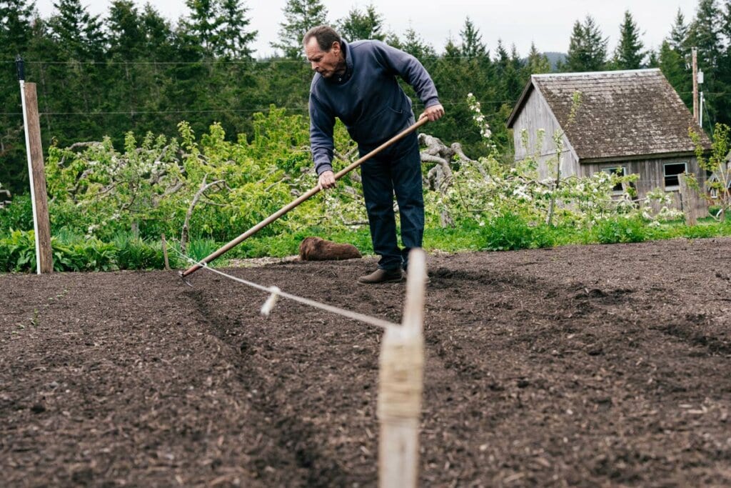 A man marking lines for planting a garden.