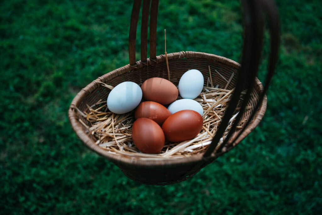 Woven basket holding clean, unbroken brown and blue chicken eggs on green grass
