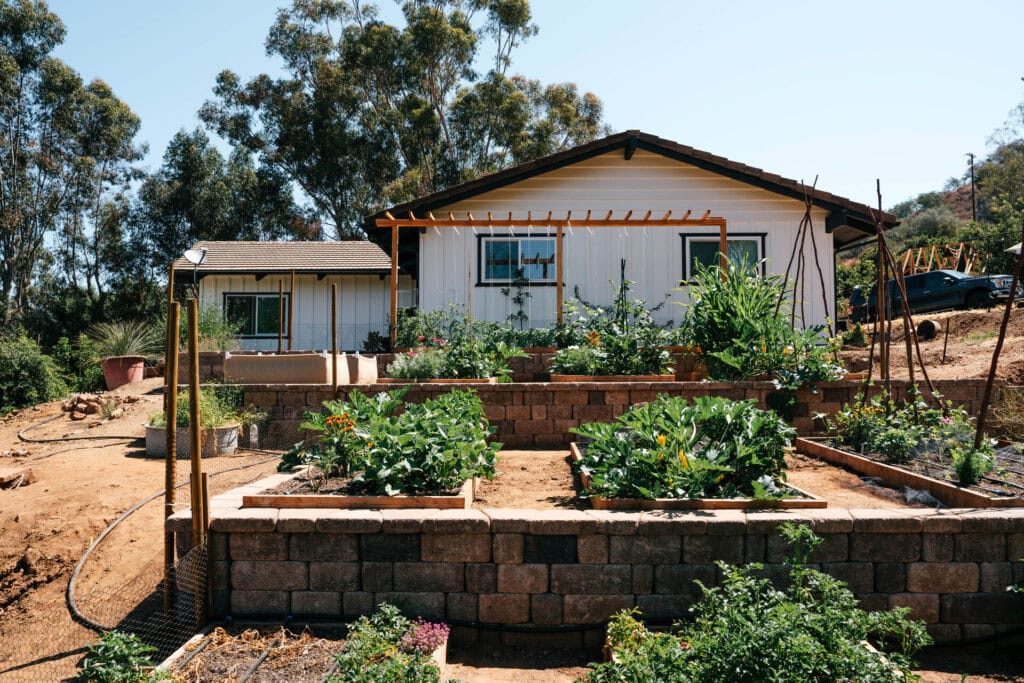 Terraced raised garden beds beside a house, showing multiple bed styles, trellises, and productive vegetable growth in a dry climate