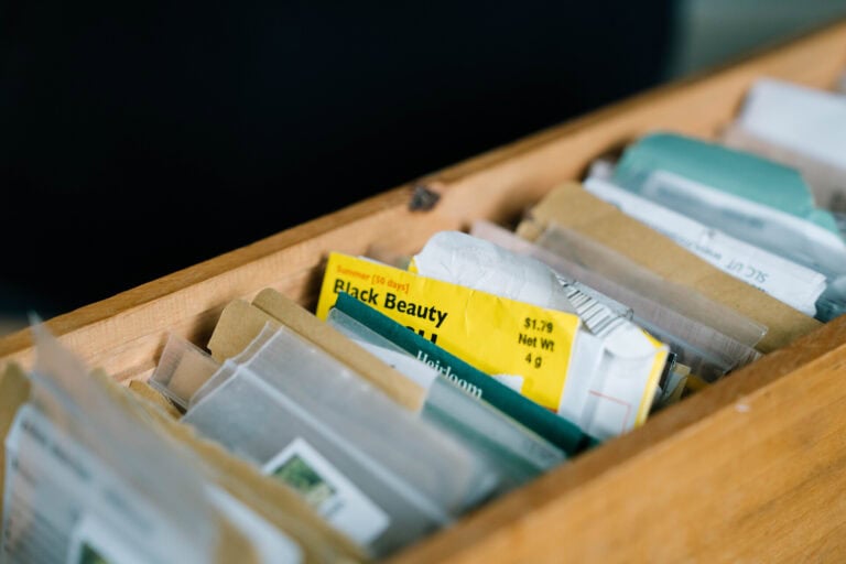 Assorted vegetable and flower seed packets organized in a wooden box for planning what to plant in February.