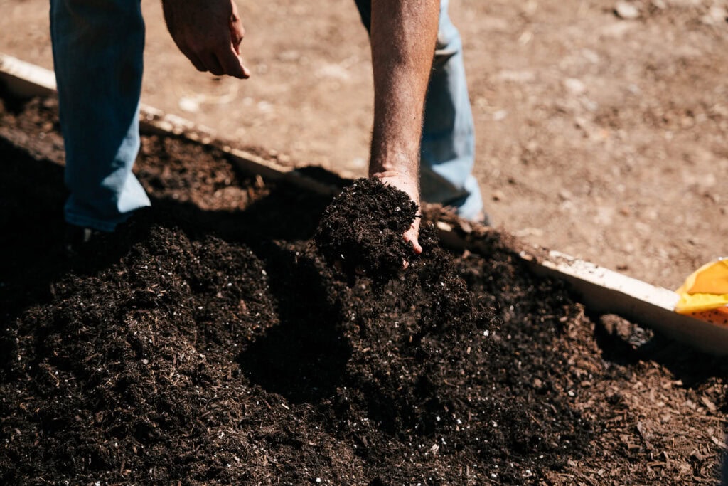 Hand holding rich compost soil while filling a raised garden bed