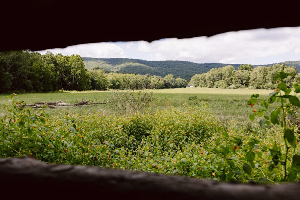 Open field bordered by trees and hills showing natural landscape used for planning a homestead layout