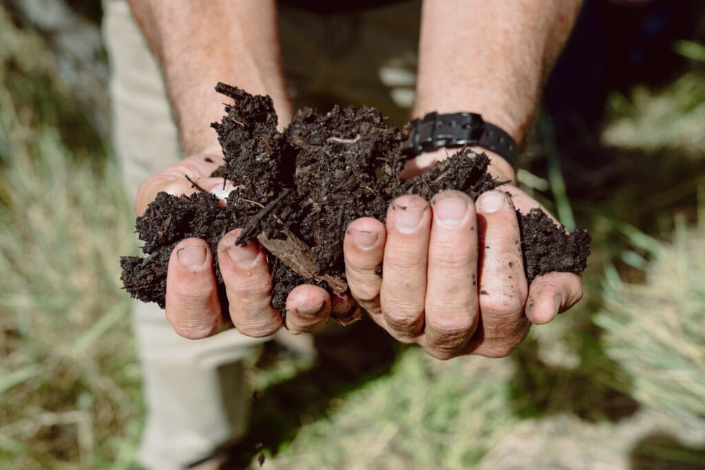 Hands holding rich garden soil and decomposing wood chip mulch