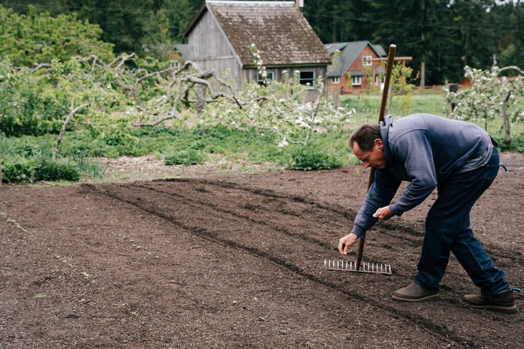 Gardener planting seeds in neat rows through wood chip mulch in a Back to Eden style garden bed.