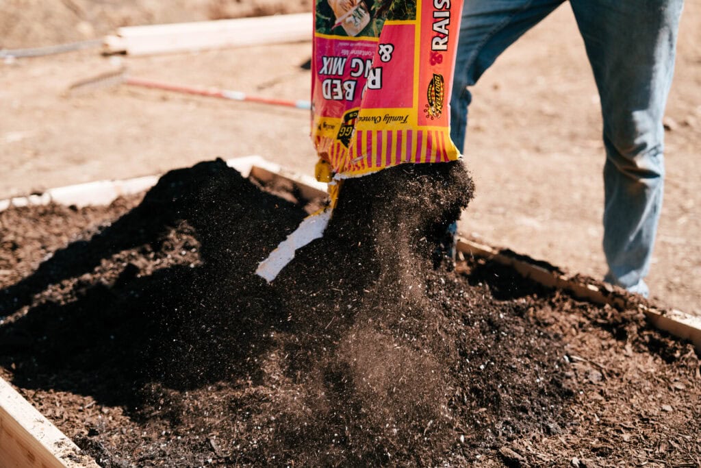 Compost being poured into a raised garden bed while filling it for planting