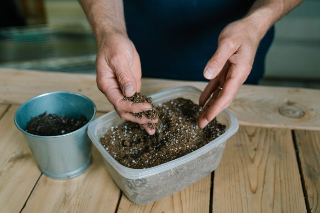 Hands mixing loose seed-starting soil with perlite to prepare a planting medium for seedlings