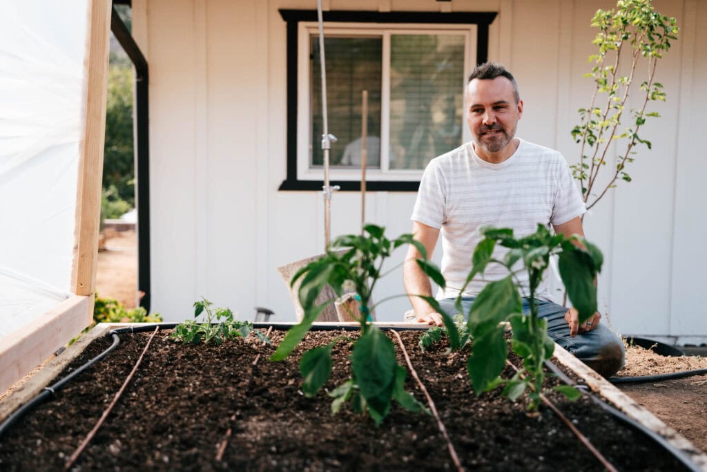 Man sitting beside a raised garden bed with drip irrigation lines and young plants