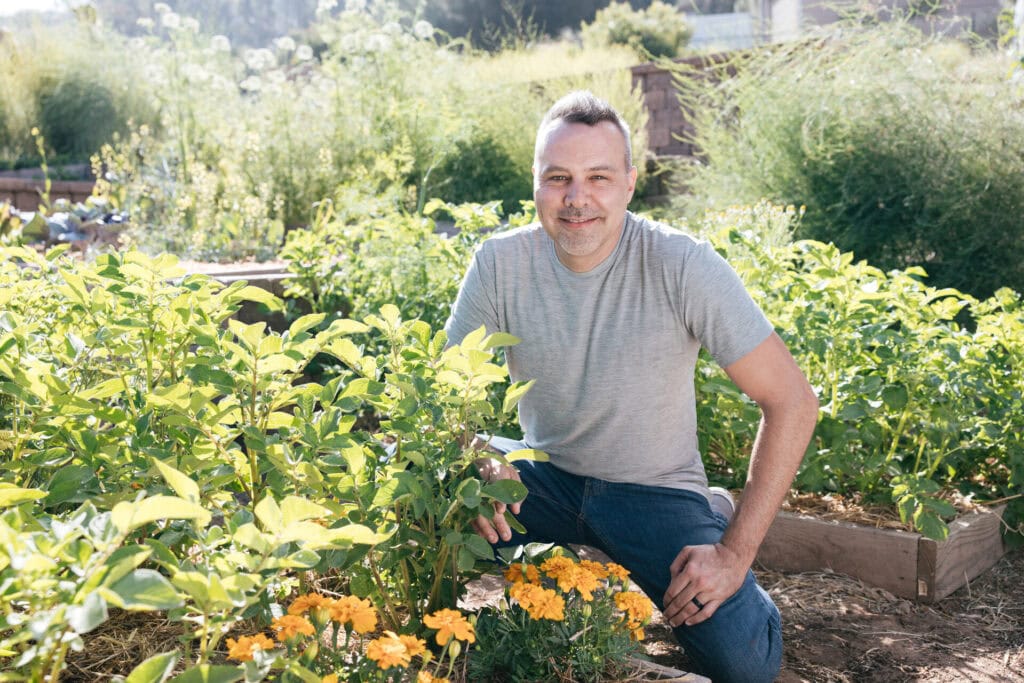 Man kneeling in a raised bed garden surrounded by healthy potato plants and marigolds used as companion plants