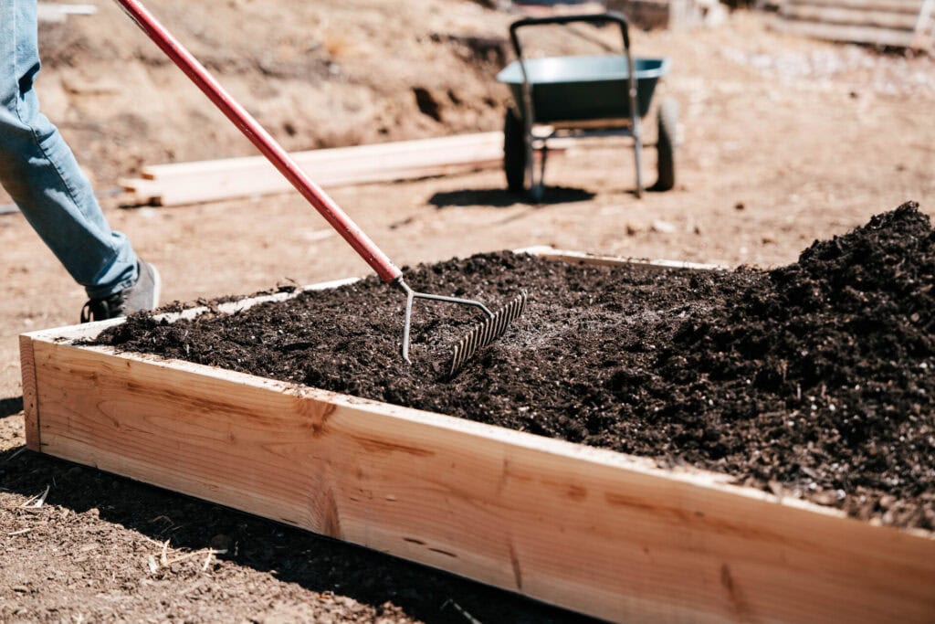 Gardener leveling compost-rich soil inside a newly built raised garden bed during late winter garden preparation.