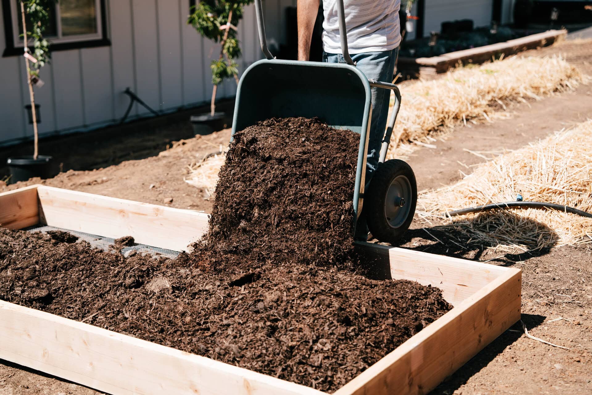 Wheelbarrow dumping compost into a newly built raised garden bed