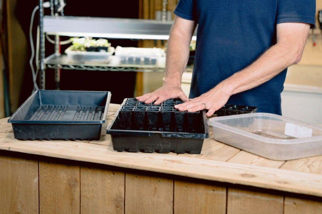 Preparing seed-starting trays and containers on a wooden workbench for indoor tomato seed planting
