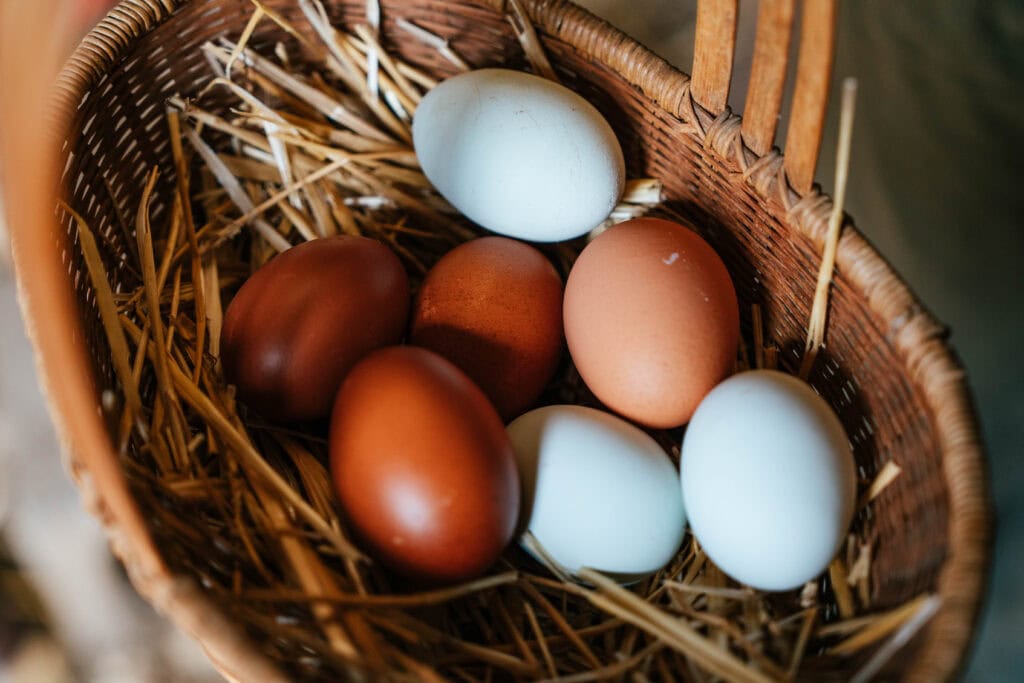 Freshly gathered brown and white eggs sitting on a bed of straw inside a woven wicker basket.