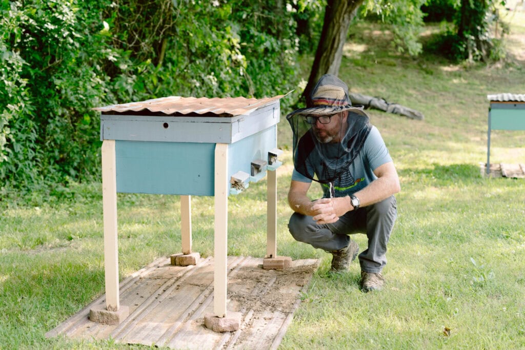Beekeeper wearing a protective veil kneeling beside a raised hive while observing bee activity