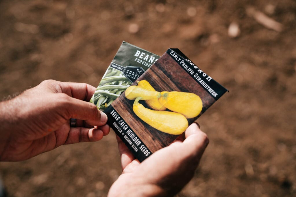 Hands holding vegetable seed packets while planning companion planting combinations for the garden