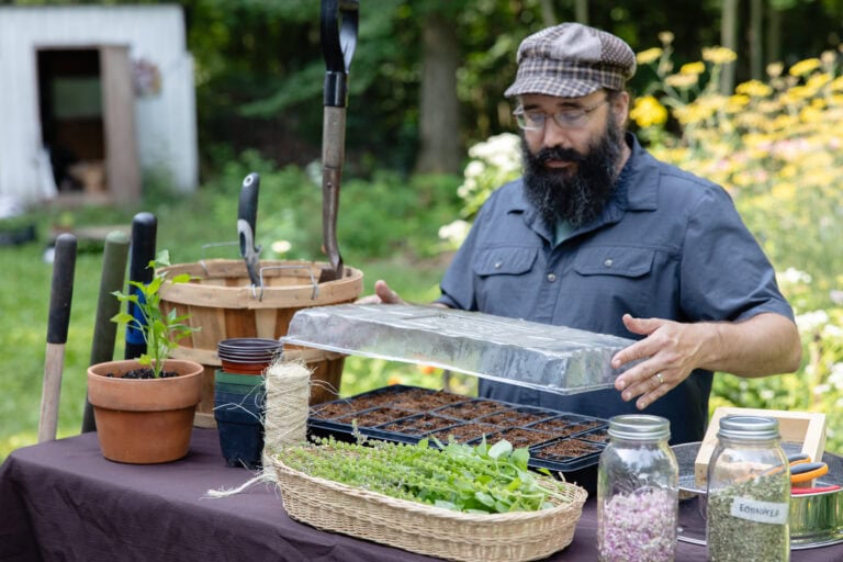 Garden Scene Activity