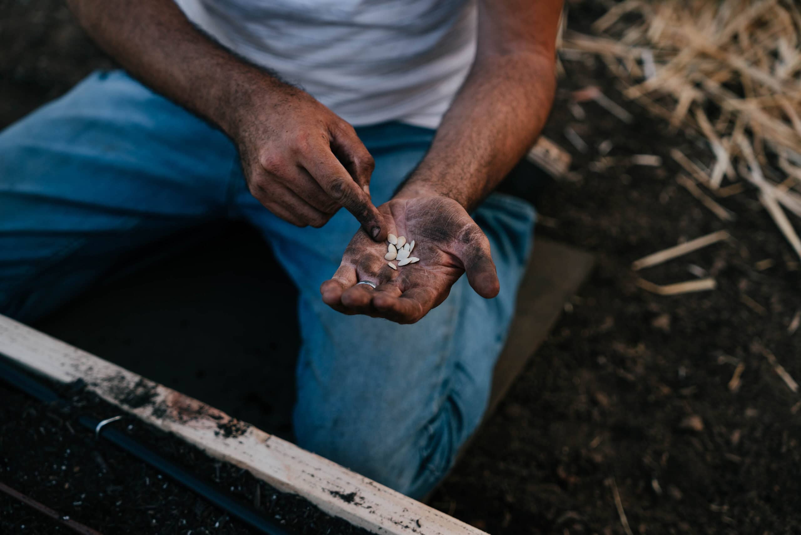 Craftsman at Work