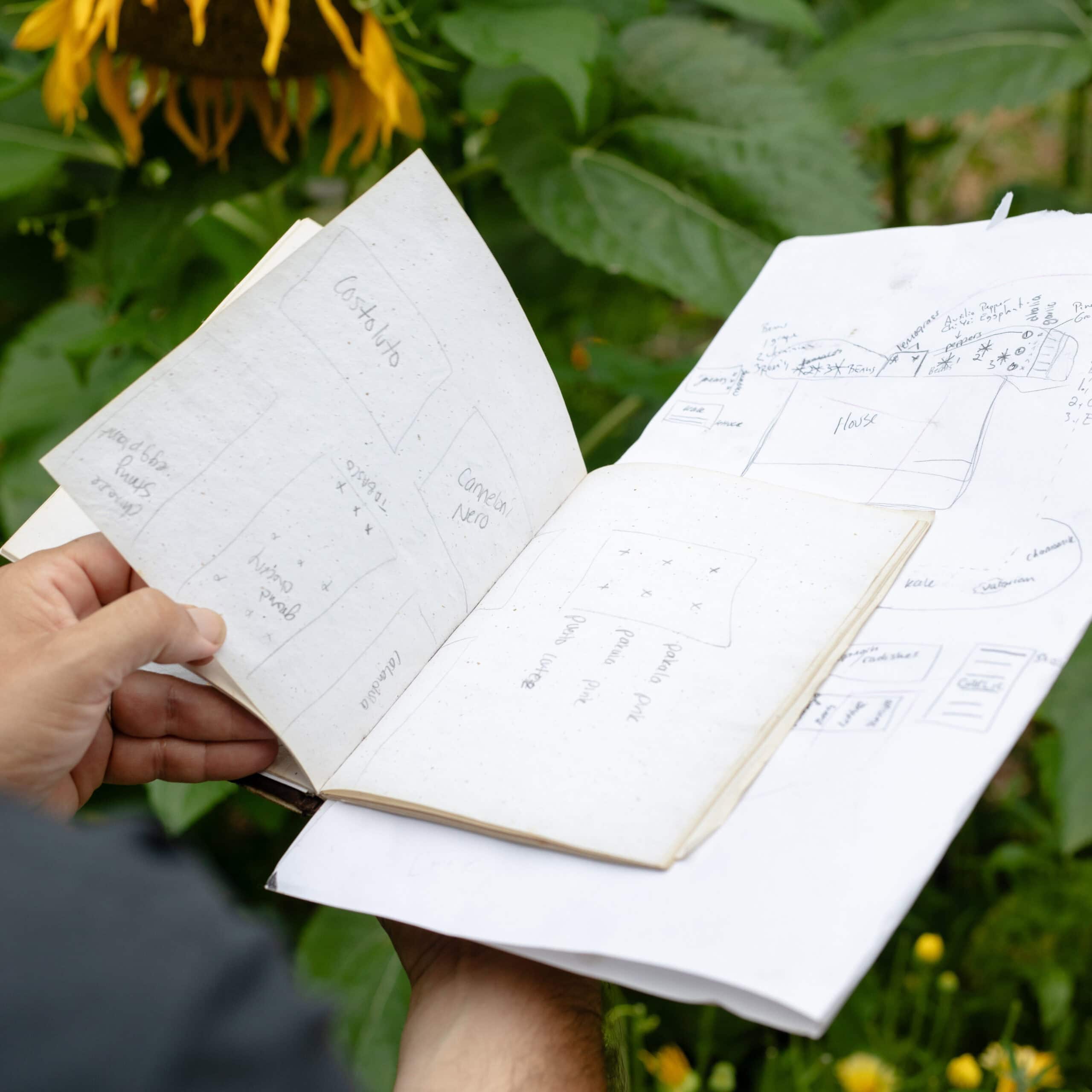 Botanical Research Insights