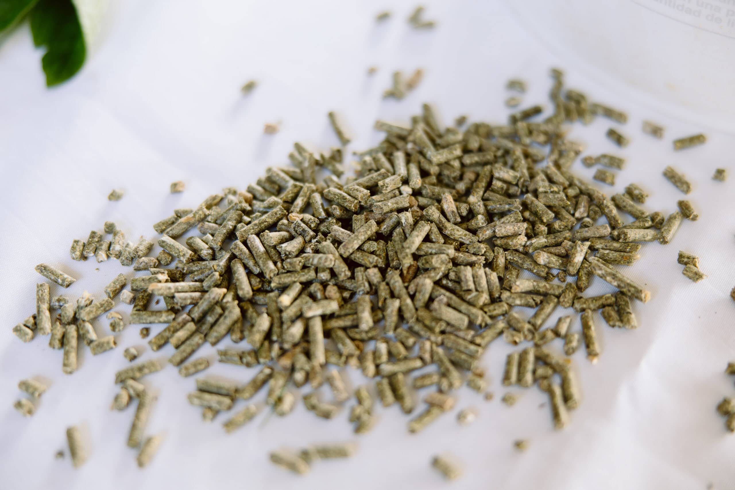 Grains and Pellets