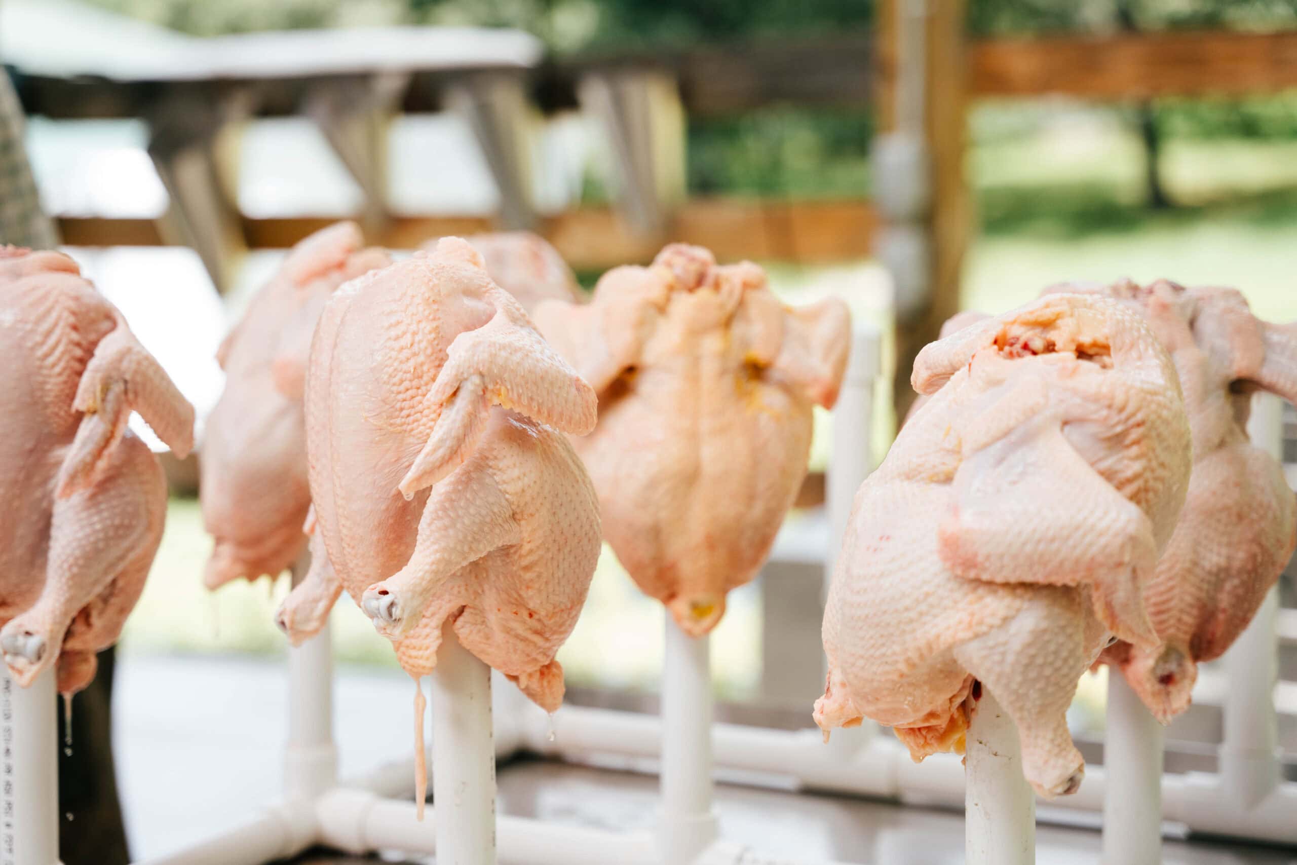 Culinary Preparation Process