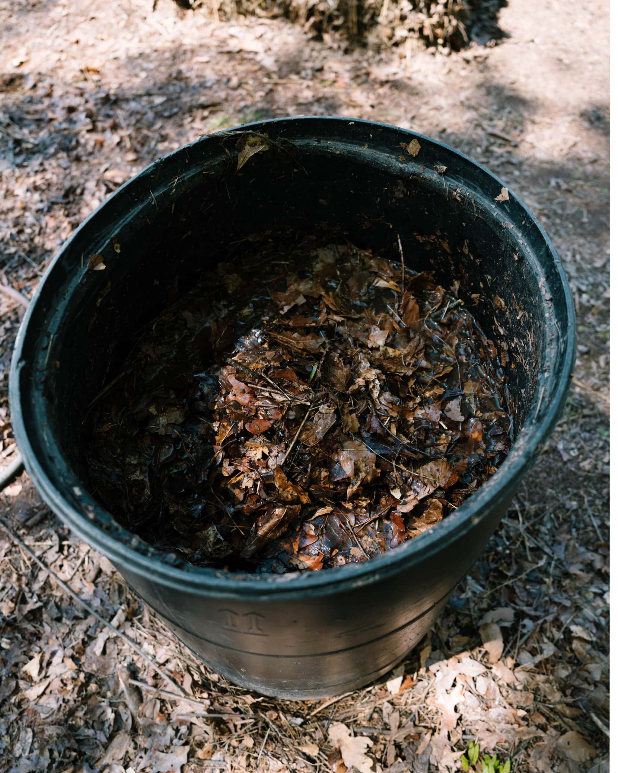 Barrels in Forest