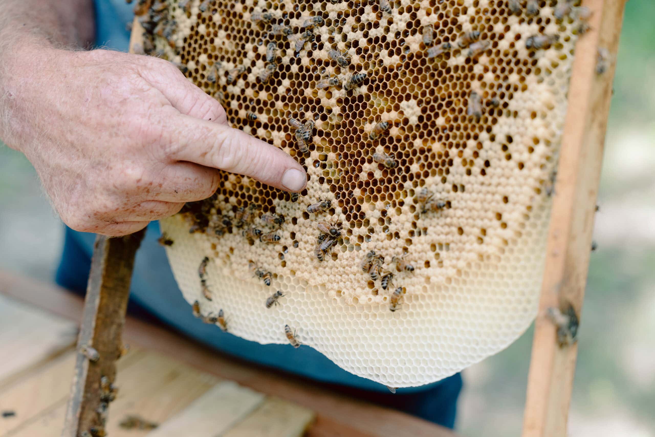 Artisan Craftsmanship Process