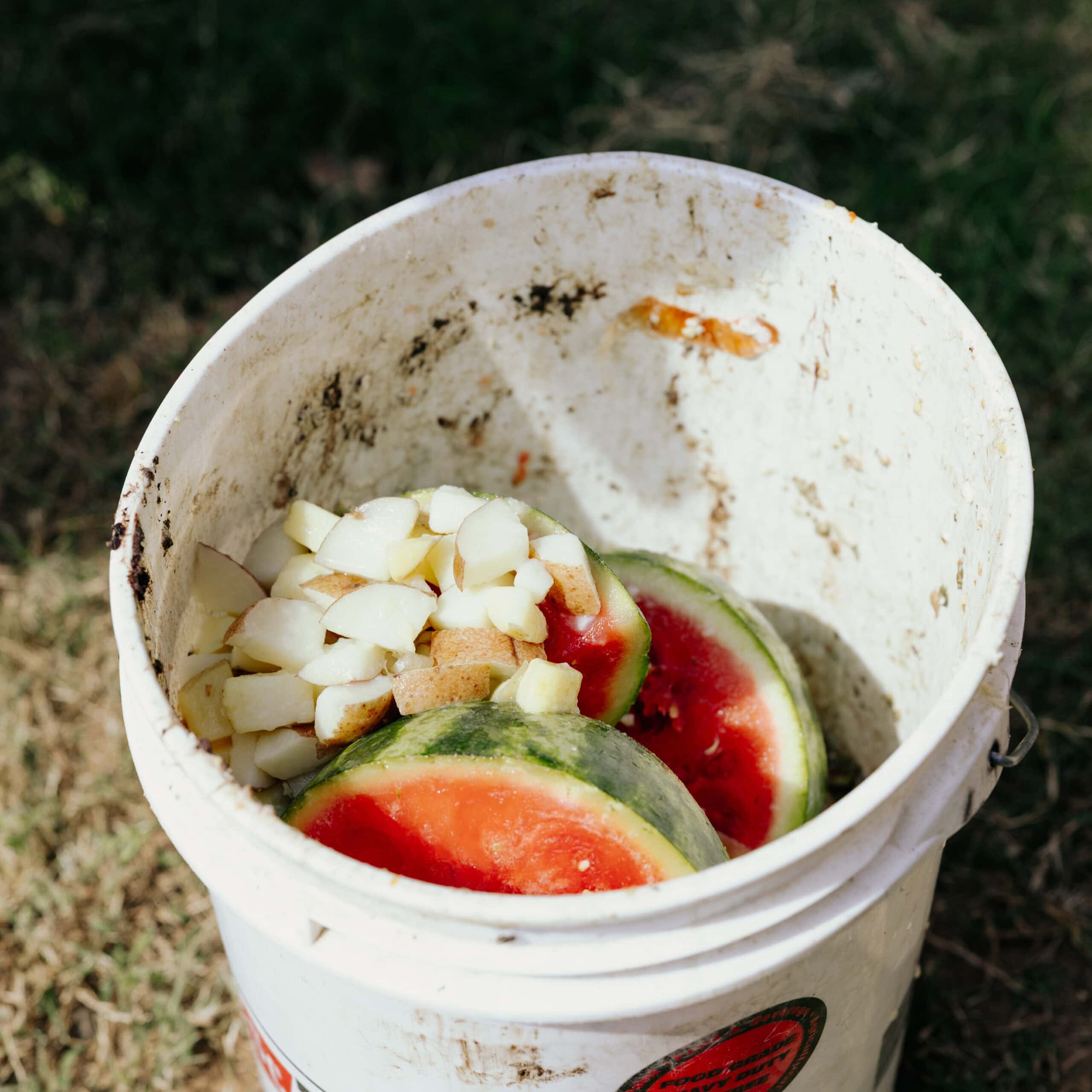 Serving Food Outdoors