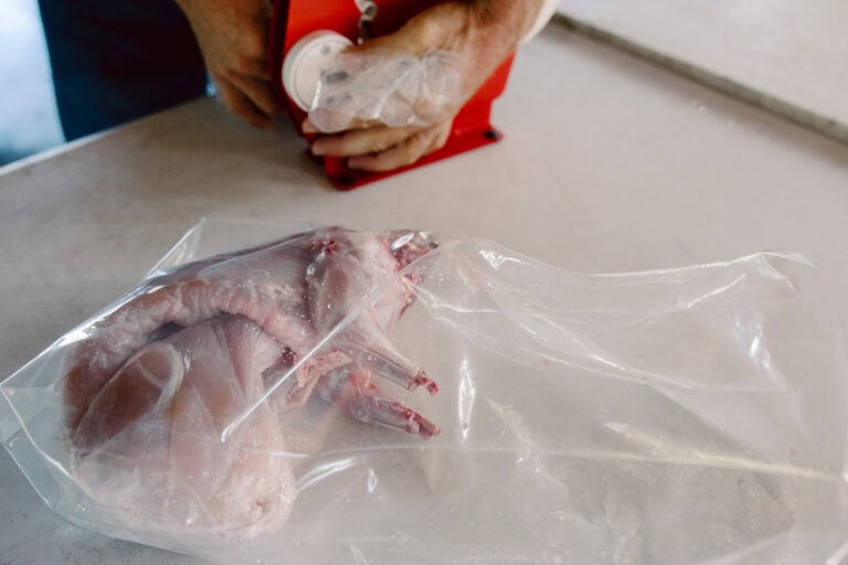 Fresh Fish Preparation