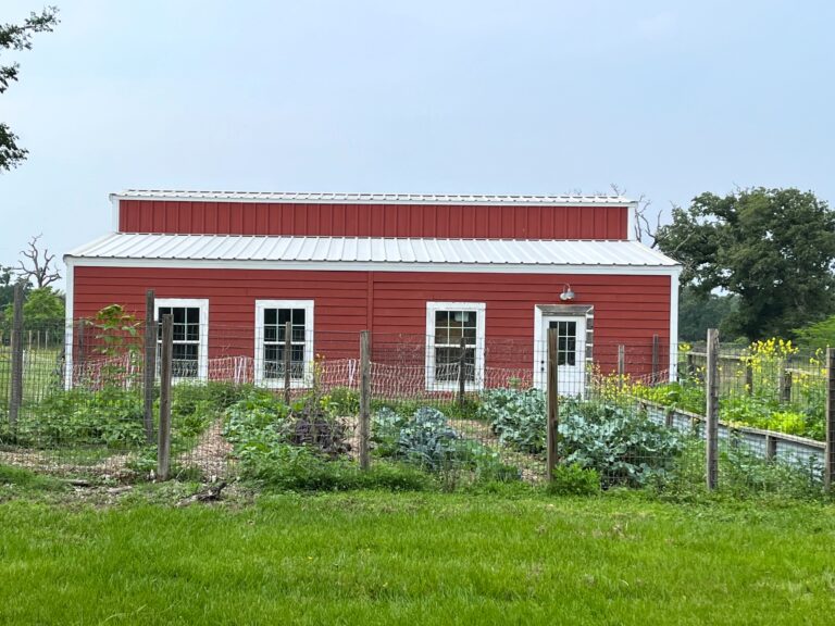 Saturday Story: The Ingredients House