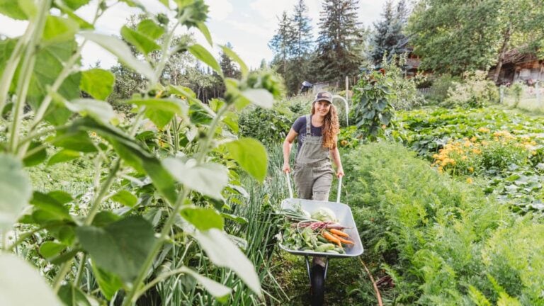 Saturday Story: The girl who made a Secret Garden
