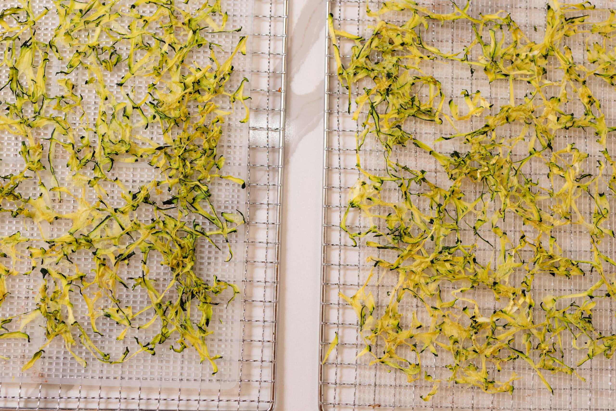 Floral Textile Design