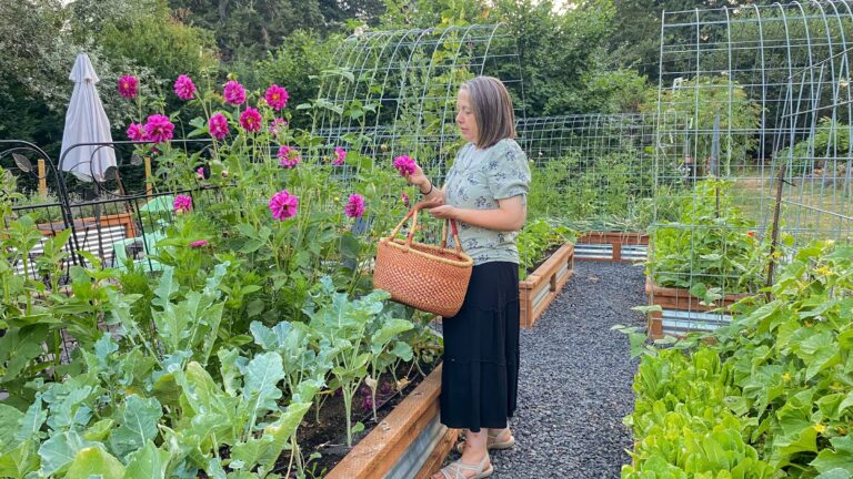 Saturday Story: The Medicine Cabinet in the Yard