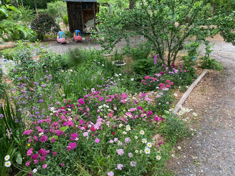Saturday Story: How she nabbed a debt-free homestead – AND