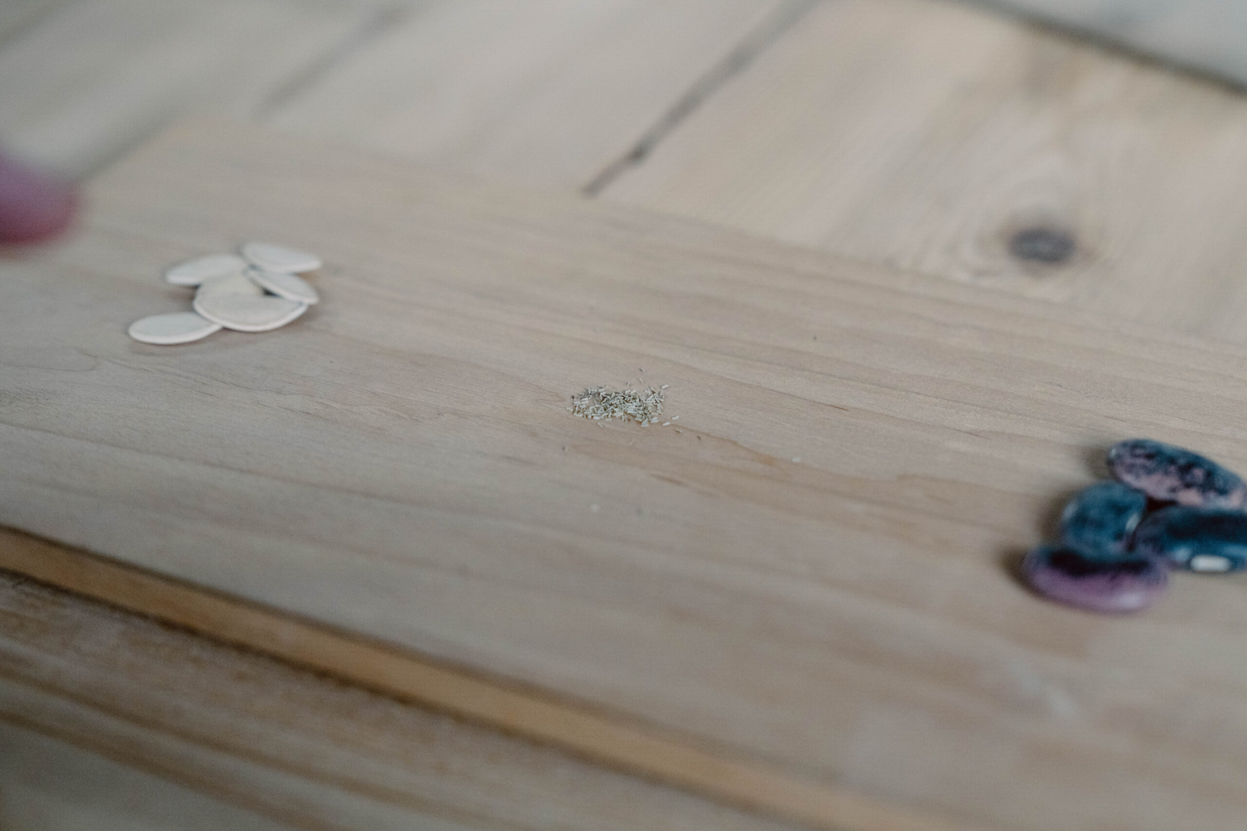 Wooden Plank Surface
