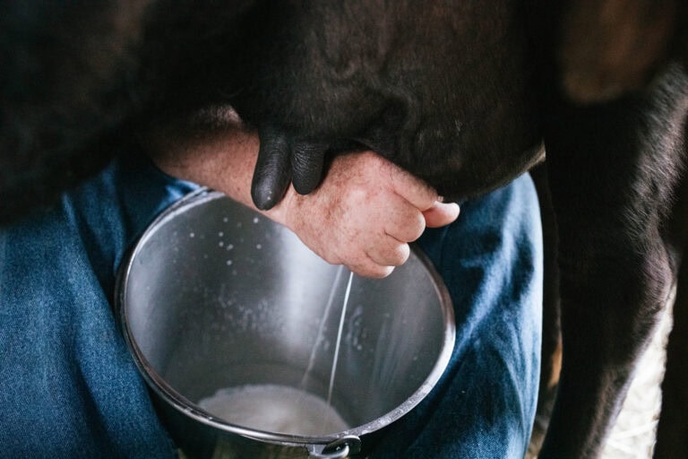 Man Holding Drink